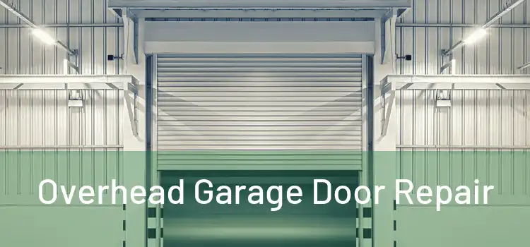  Overhead Garage Door Repair 